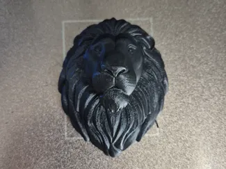 lion head
