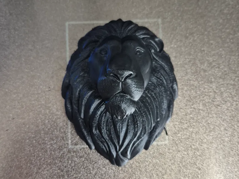 lion head