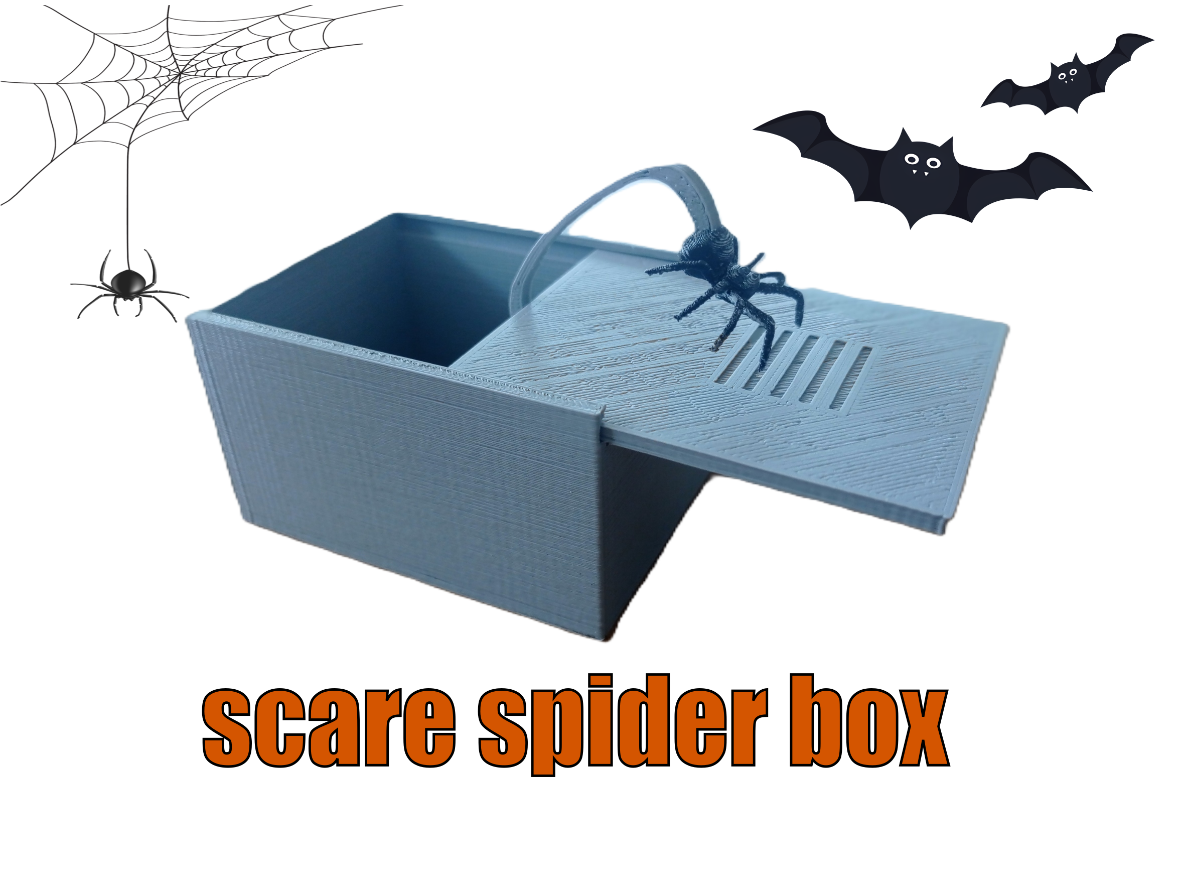 scare spider box