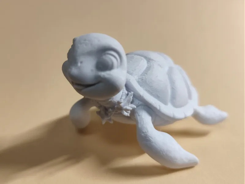 Sea Turtle