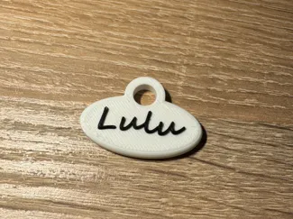 Pet Name Tag
