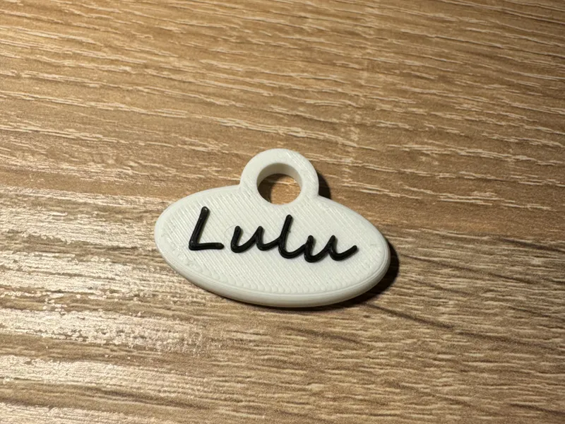 Pet Name Tag