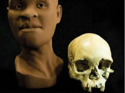 Face recontruída de Luzia, a primeira brasileira.