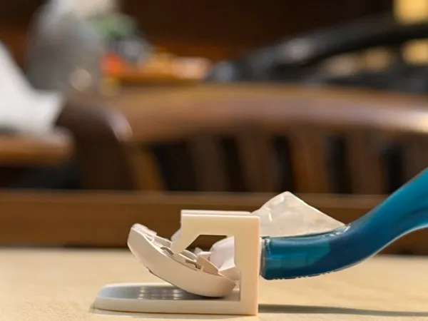https://makerworld.bblmw.com/makerworld/model/DSM00000002589951/design/eba1035a4f1646e4.jpg