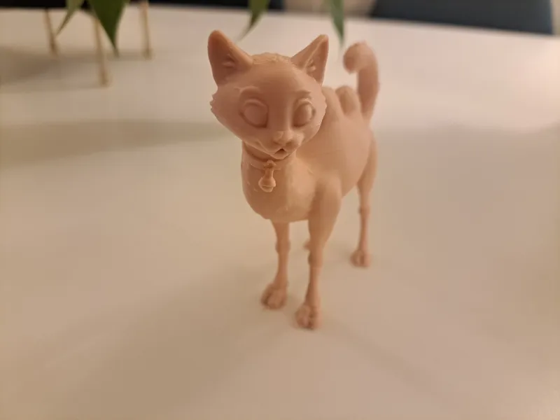 A CamelCat