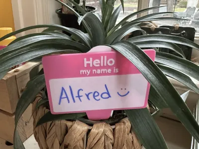 Name Tag Plant Stake
