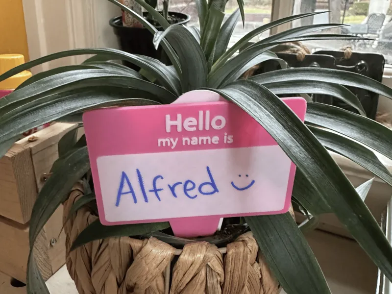 Name Tag Plant Stake