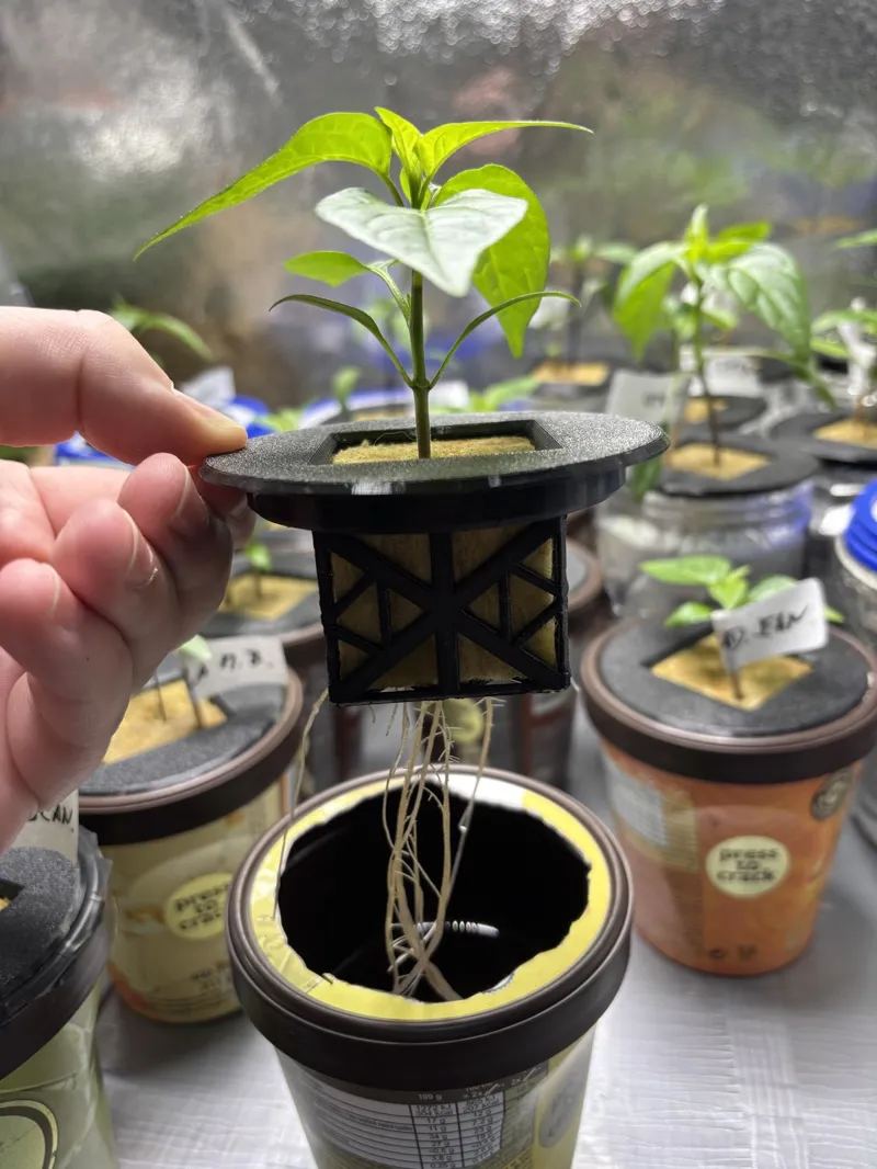Hydroponic Netpot Ø8 cm