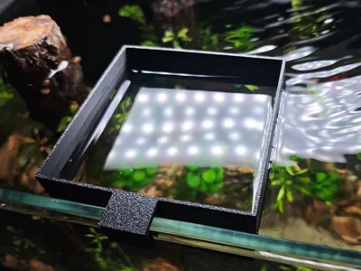 Fish tank feeder