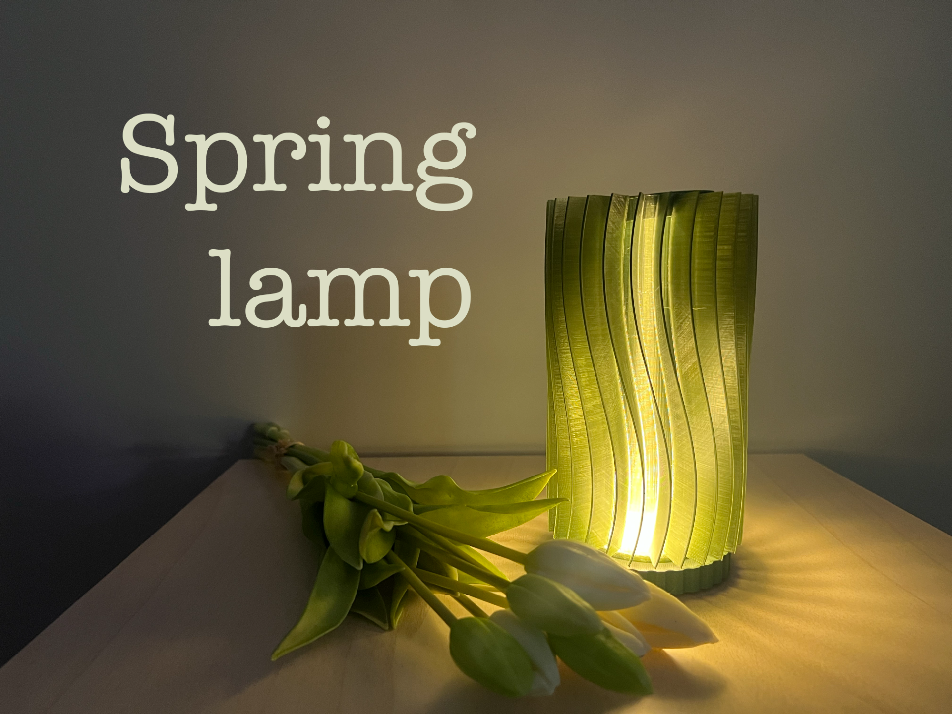 Spring Lamp
