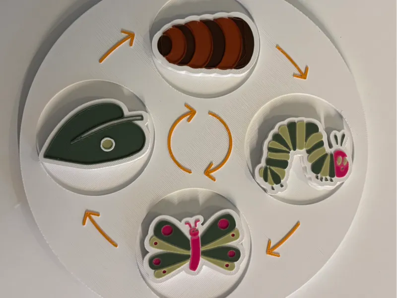 Rupsje nooitgenoeg: van ei tot vlinder