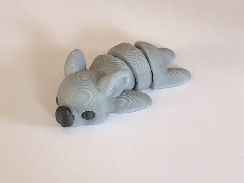 flexi Koala