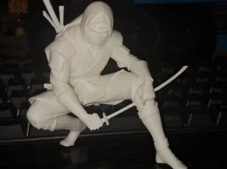 Japanese Ninja