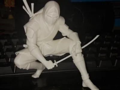Japanese Ninja