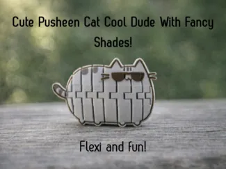 Flexi Pusheen Cat Fidget (Cool Dude)