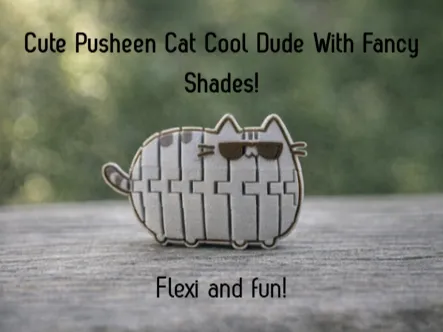 Flexi Pusheen Cat Fidget (Cool Dude)