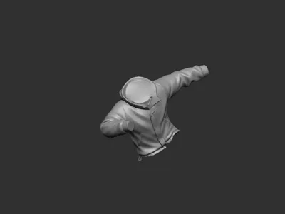 jacket hoodie