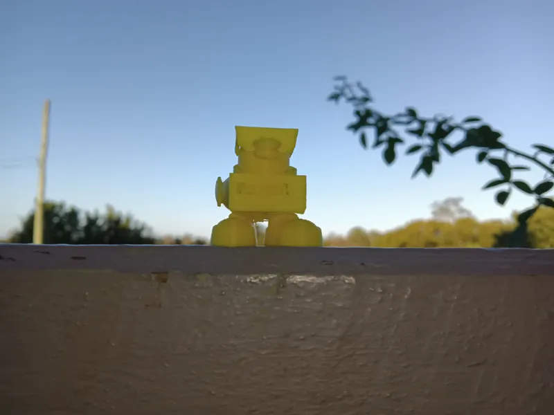 cool duck 1.1