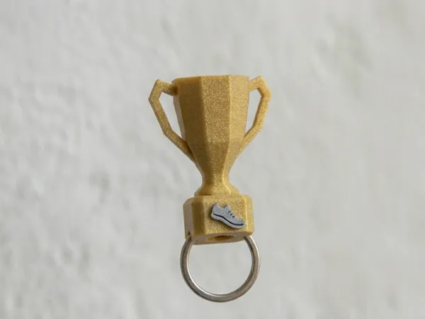 https://makerworld.bblmw.com/makerworld/model/DSM00000002597416/design/7ce0827aedfb2049.png
