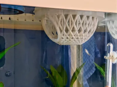 Betta dome / nest