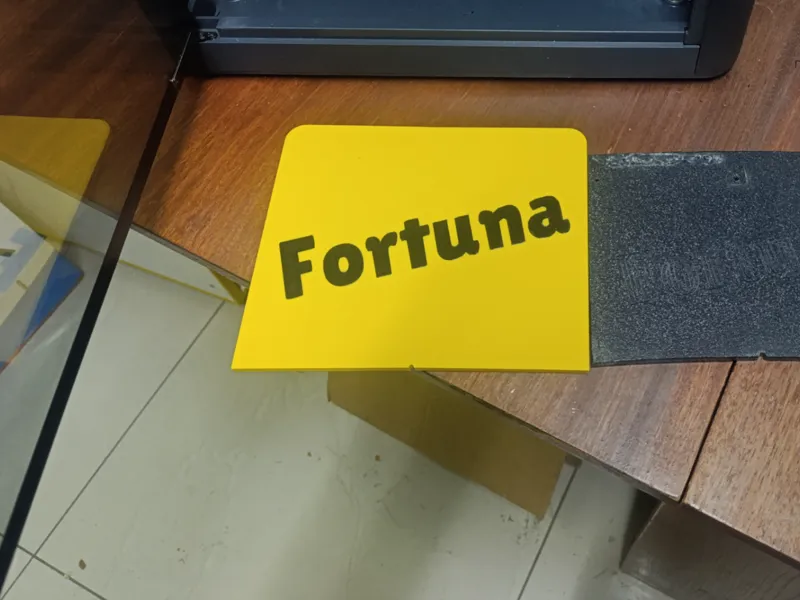 Fortuna