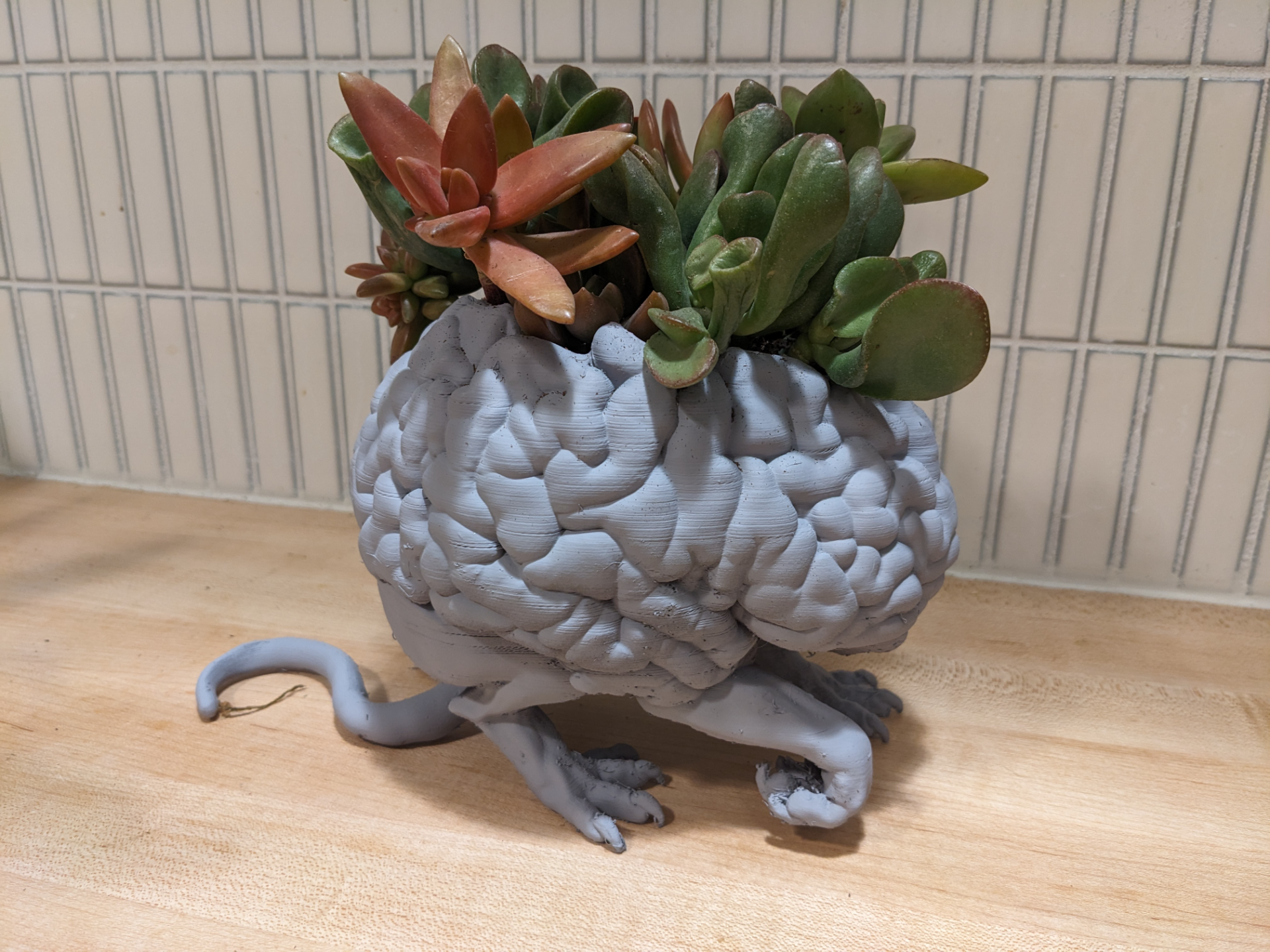The Succulent Devourer