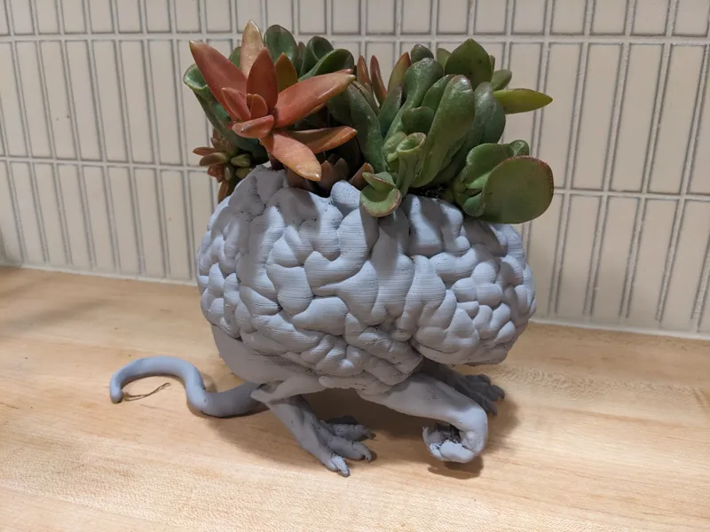 The Succulent Devourer