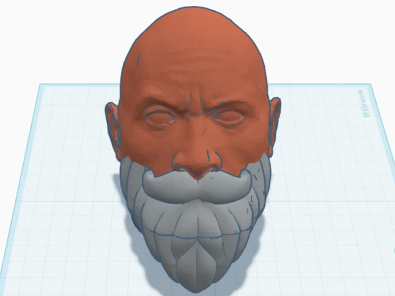 The Bearded Rock