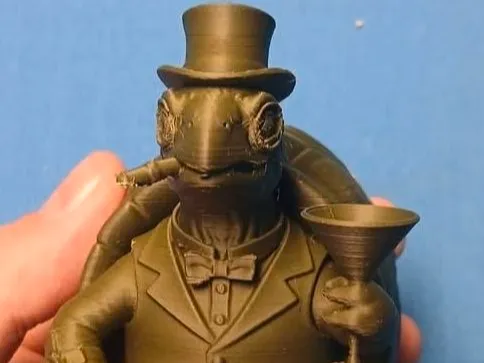 turtle highroller