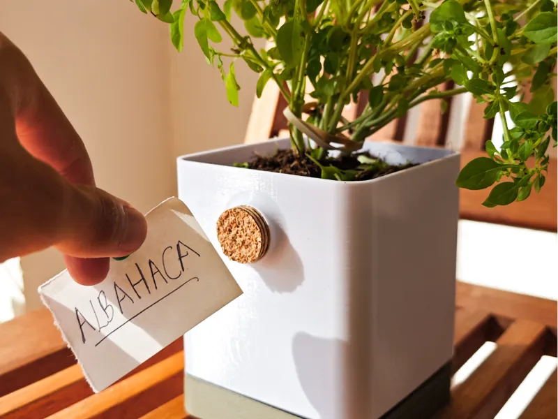 Cork Planter