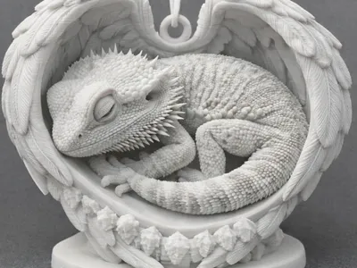 bearded dragon