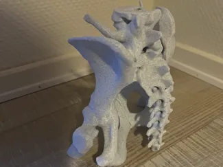 CT scan of dog pelvis healed fracture