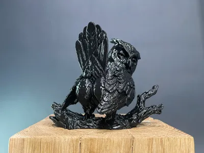 OwlyFans - AssOwl