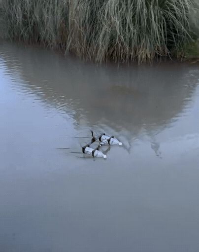 矿泉水瓶风动船