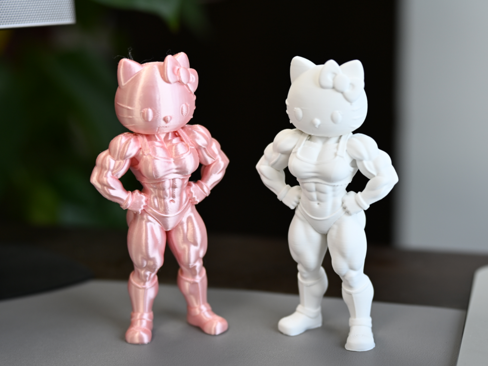 肌肉女士hello kitty