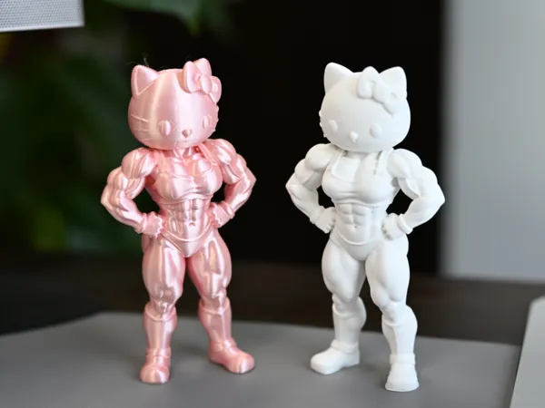 https://makerworld.bblmw.com/makerworld/model/DSM00000002605316/design/e5efb57e1bcd6401.jpg