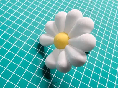 Daisy Mini C-Clasp