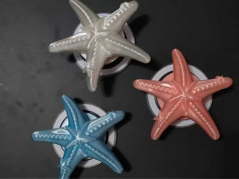 海星