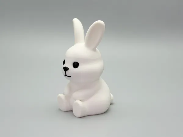 https://makerworld.bblmw.com/makerworld/model/DSM00000002607744/design/9118126235cd968e.jpg