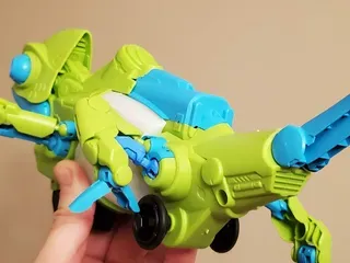 C9 Coding Chameleon