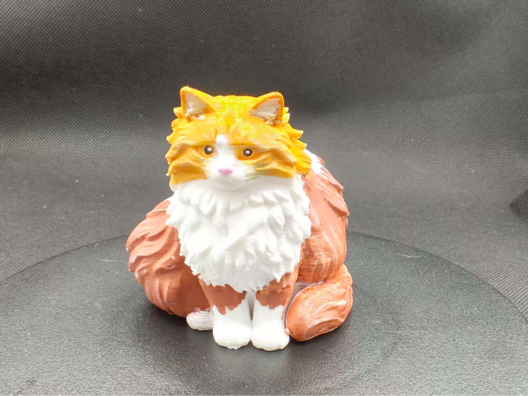 长毛猫