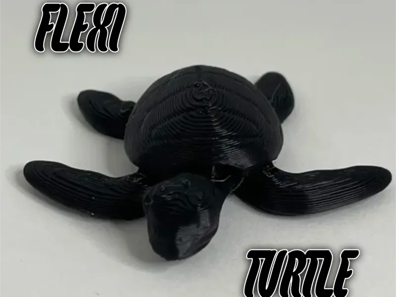 flexi turtle