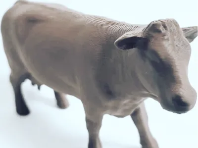 miniature cow