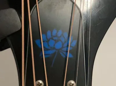 Epiphone Guitar Truss Rod Cover
