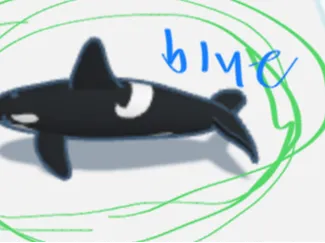 Orca