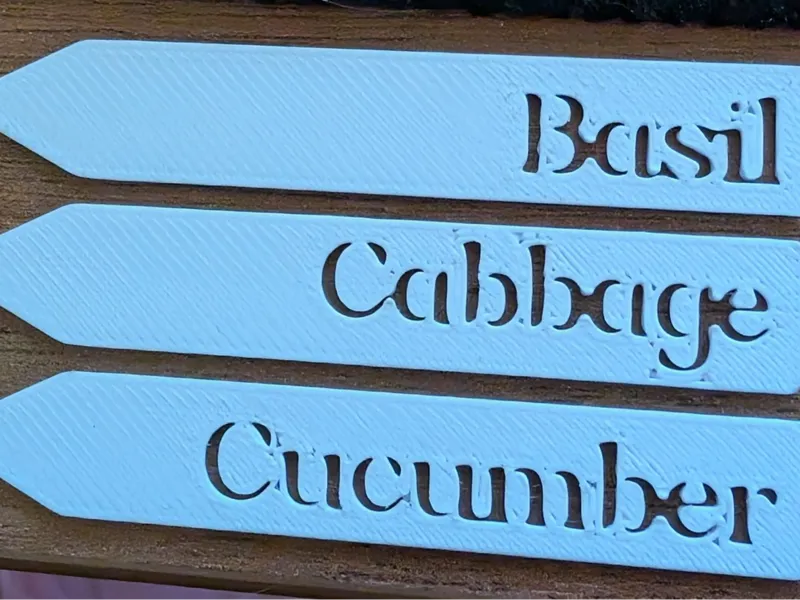 Seedling Signs