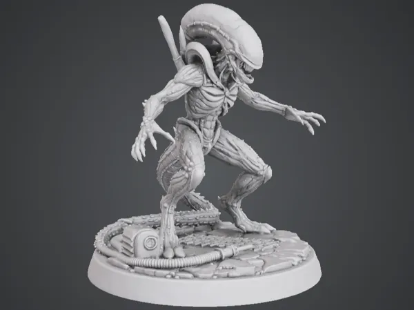 https://makerworld.bblmw.com/makerworld/model/DSM00000002613124/design/afe63e4fa2a92362.png