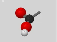 Carboxyl Group