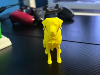 yellow lab