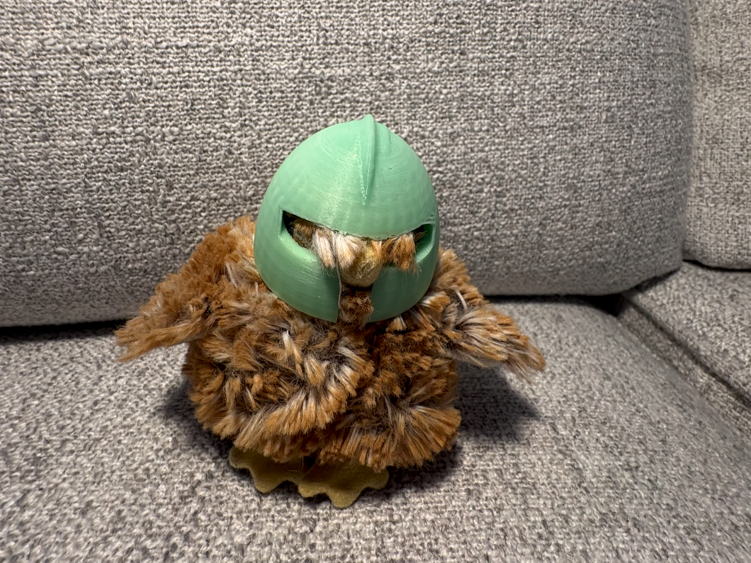 Douglas chicken medieval helmet